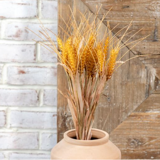 Golden Wheat Bush