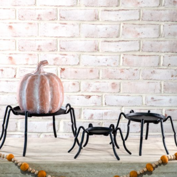 Spooky Spider Stand