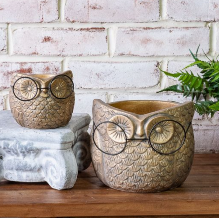 Woodland Owl Planter
