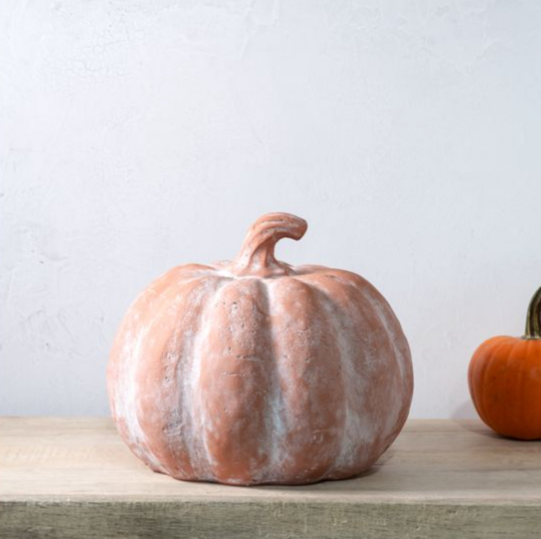 Harvest Heirloom Pumpkin