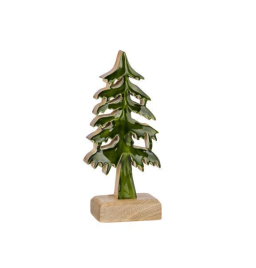 Glossy Wooden Evergreen Tree