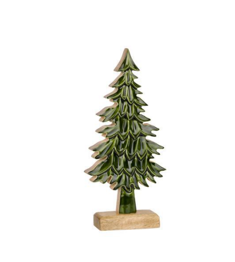 Glossy Wooden Evergreen Tree