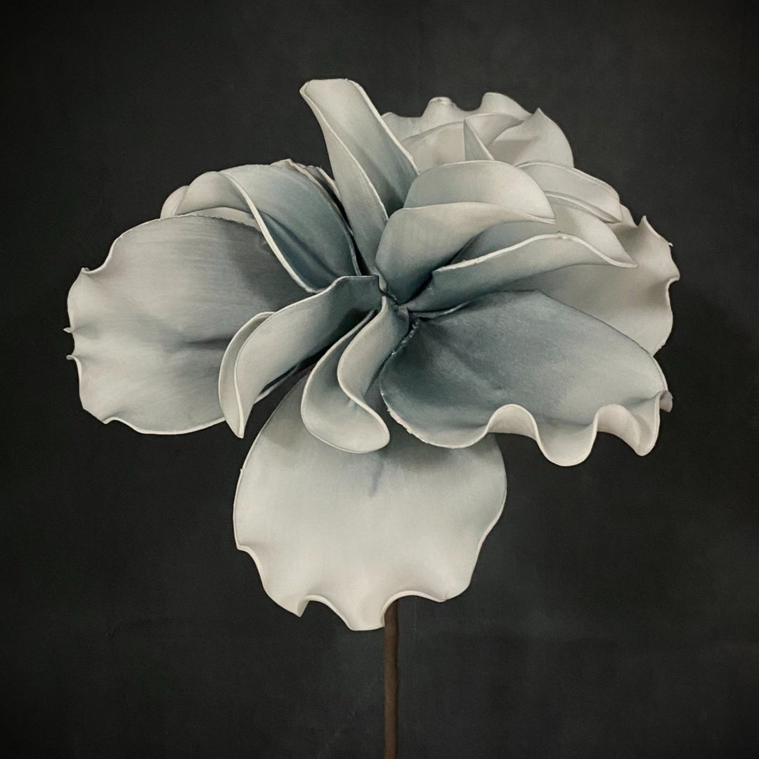 Gray flower against a dark background