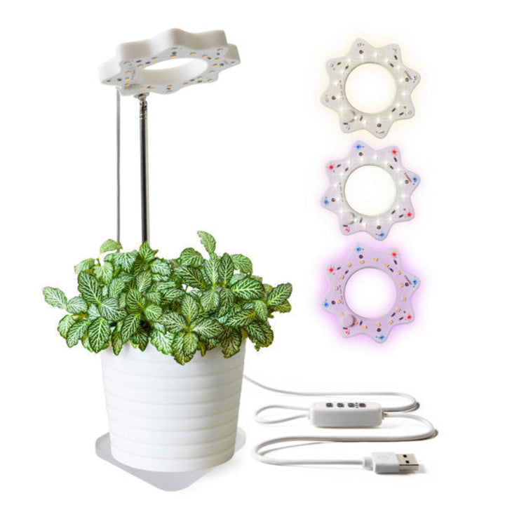 Indoor Grow Light