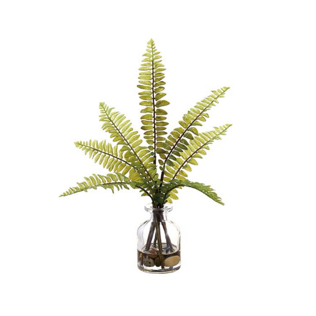 Boston Fern Glass Vase Arrangement