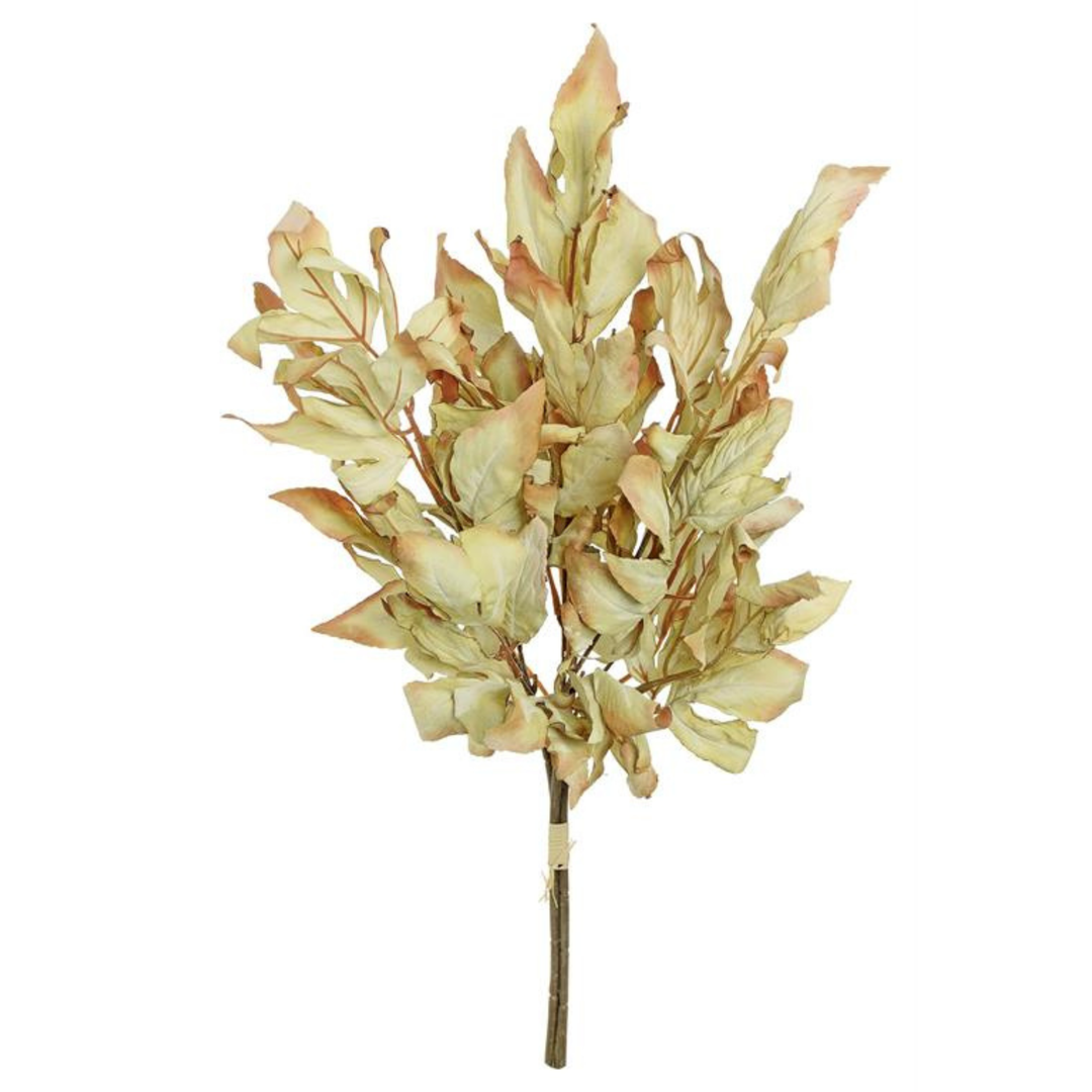 Dried Leaf Bundle
