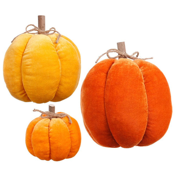 Three orange pumpkins with stems on a white background