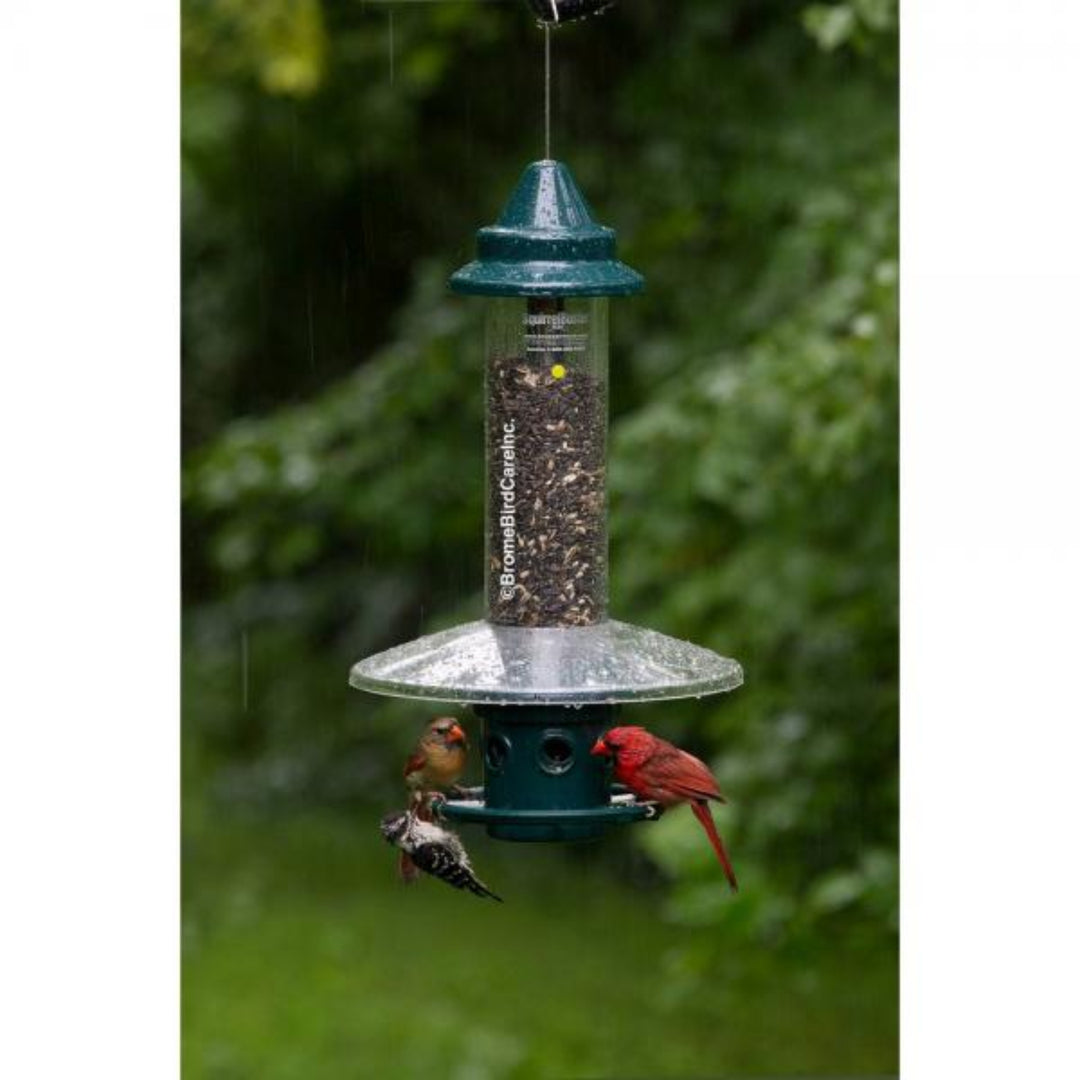 Bird feeder with birds perched on it against a green foliage background