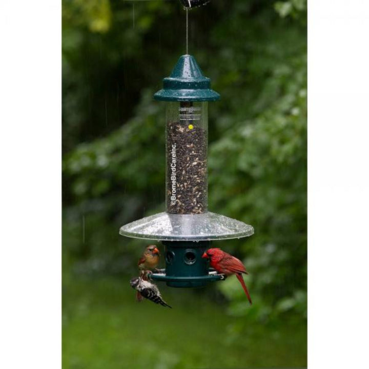 Bird feeder with birds perched on it against a green foliage background