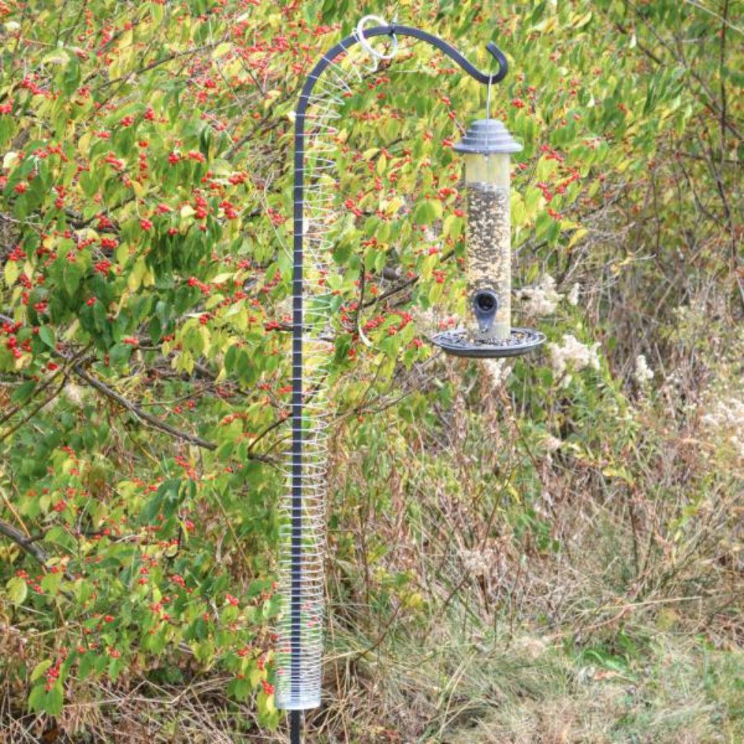 Bird feeder hanging from a stand in a natural outdoor setting with trees and bushes.