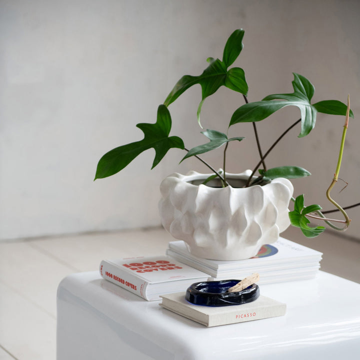 White textured planter with a plant on top of books against a plain background