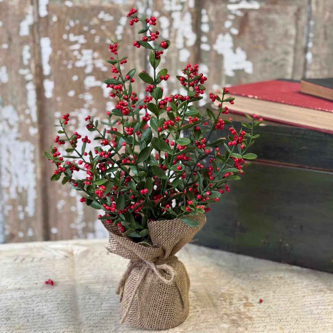 Sutherland Berry Tree