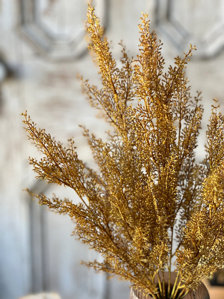 Wickham Wheat Bush