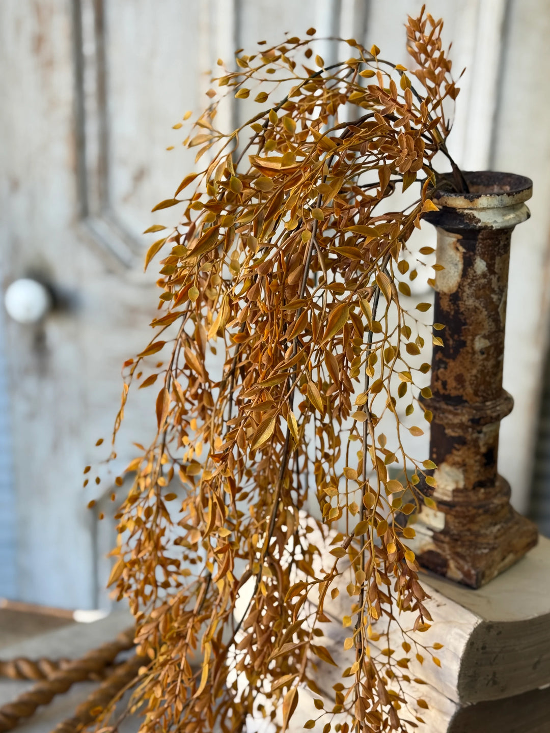 Barley Twist Sage Hanging Foliage