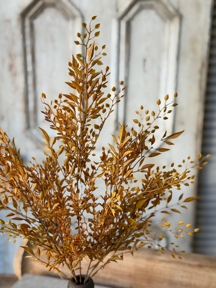 Barley Twist Sage Bush