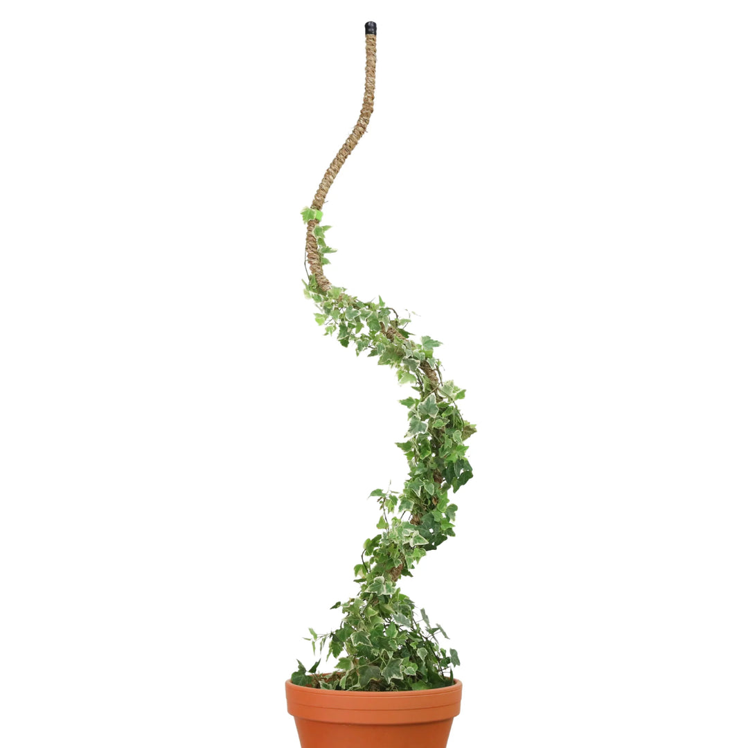 Bendable Plant Coir Pole