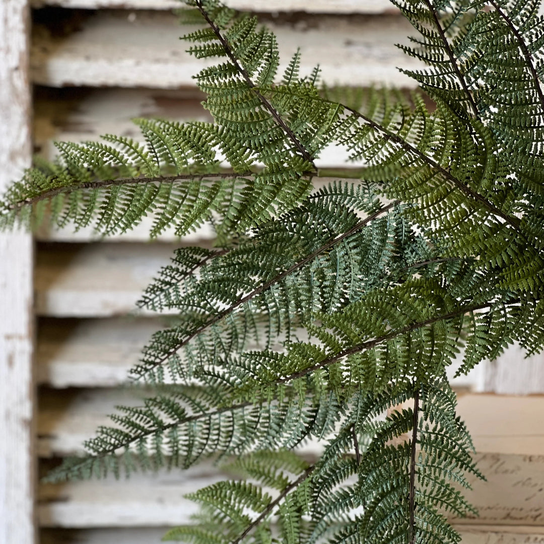 Fernwood Haven Hanging