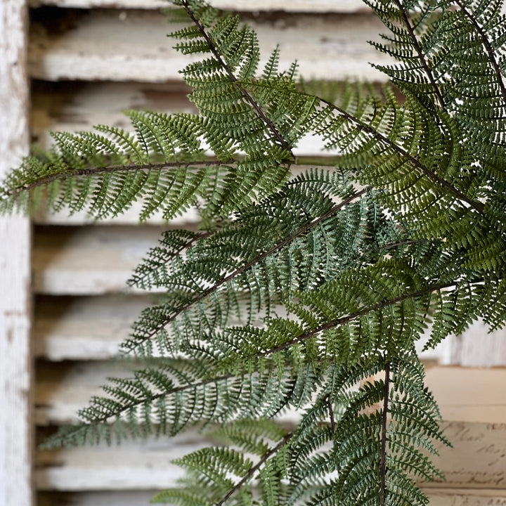 Fernwood Haven Hanging