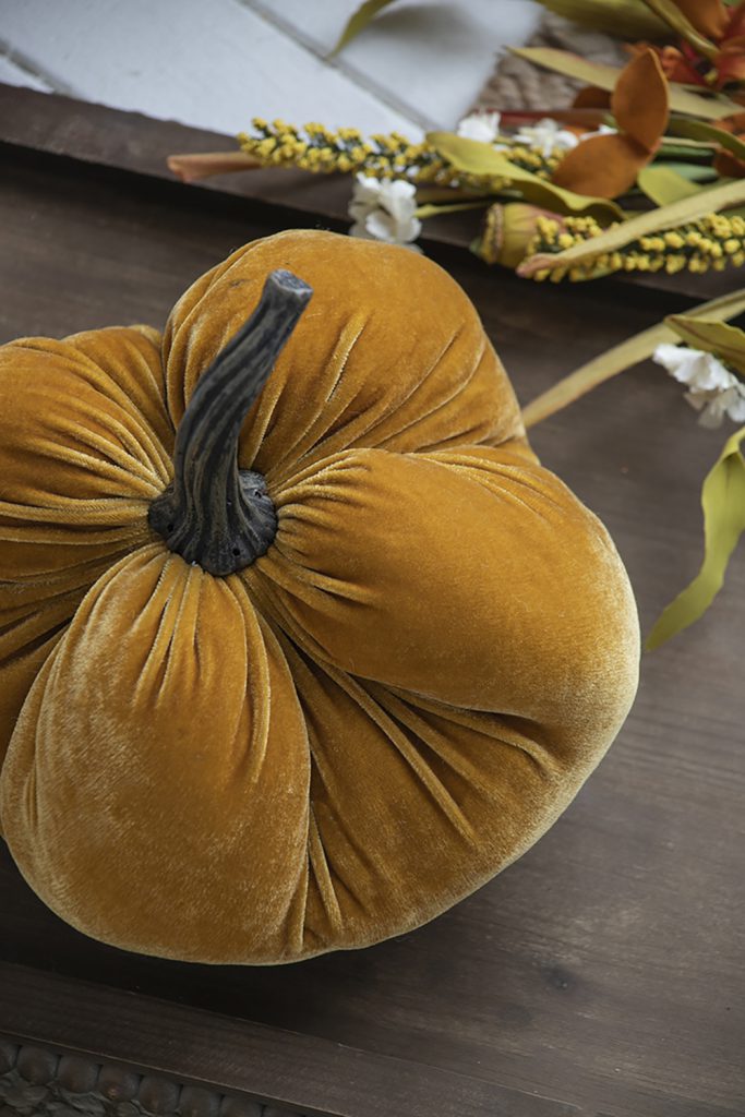 Velvet Pumpkin