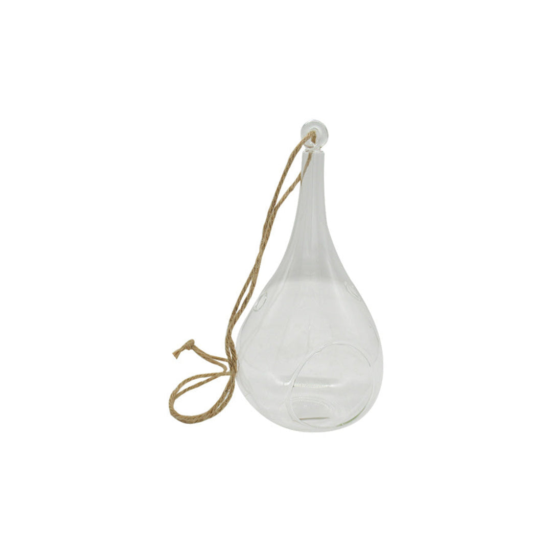 Teardrop Glass Terrarium