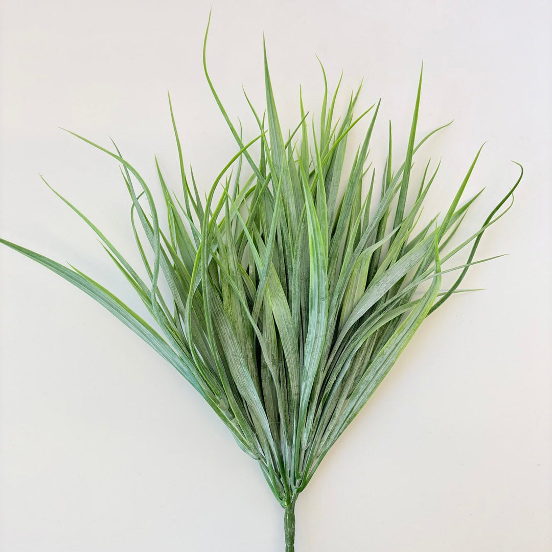 Two Tone Green Grass Bush