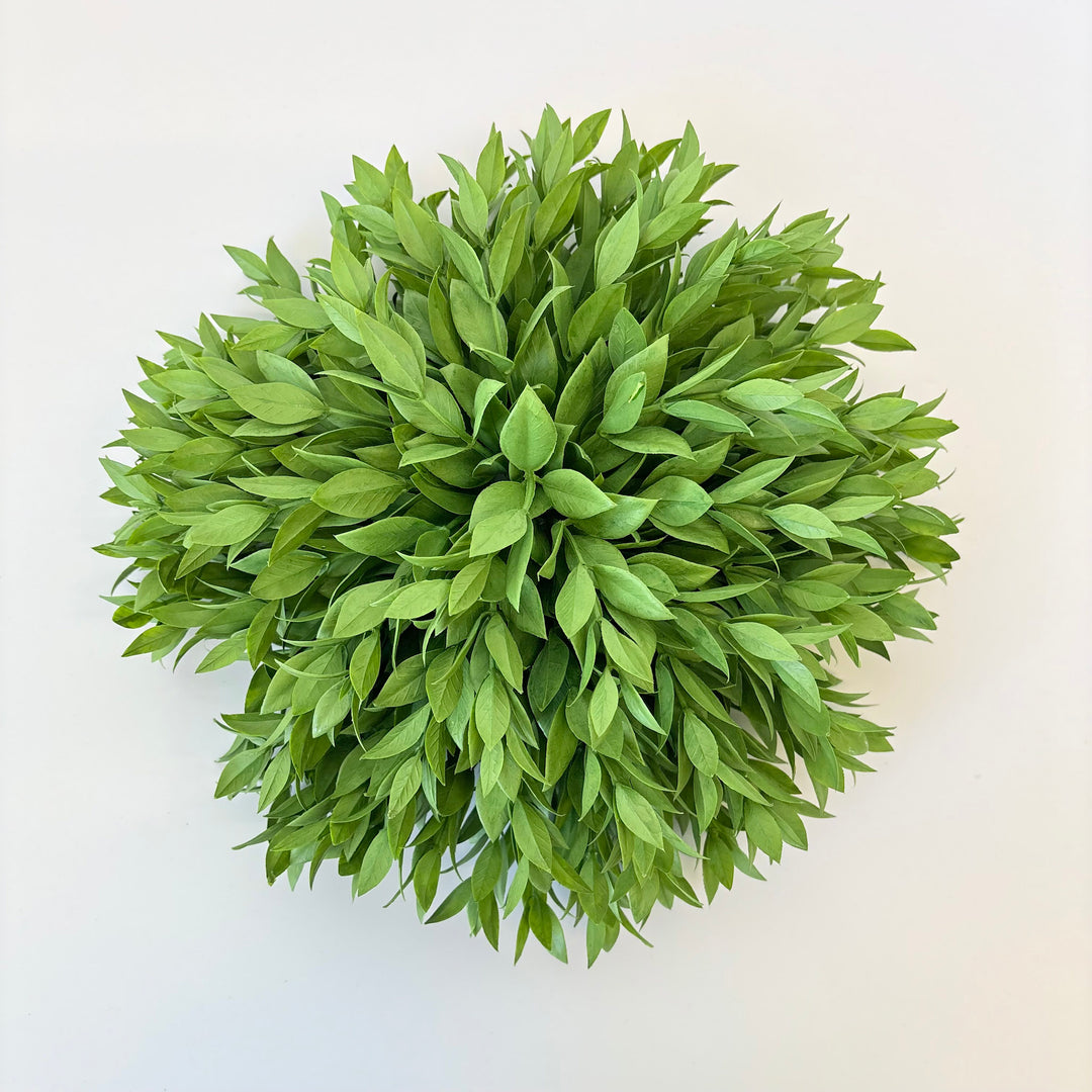 Two Tone Ruscus Half Sphere