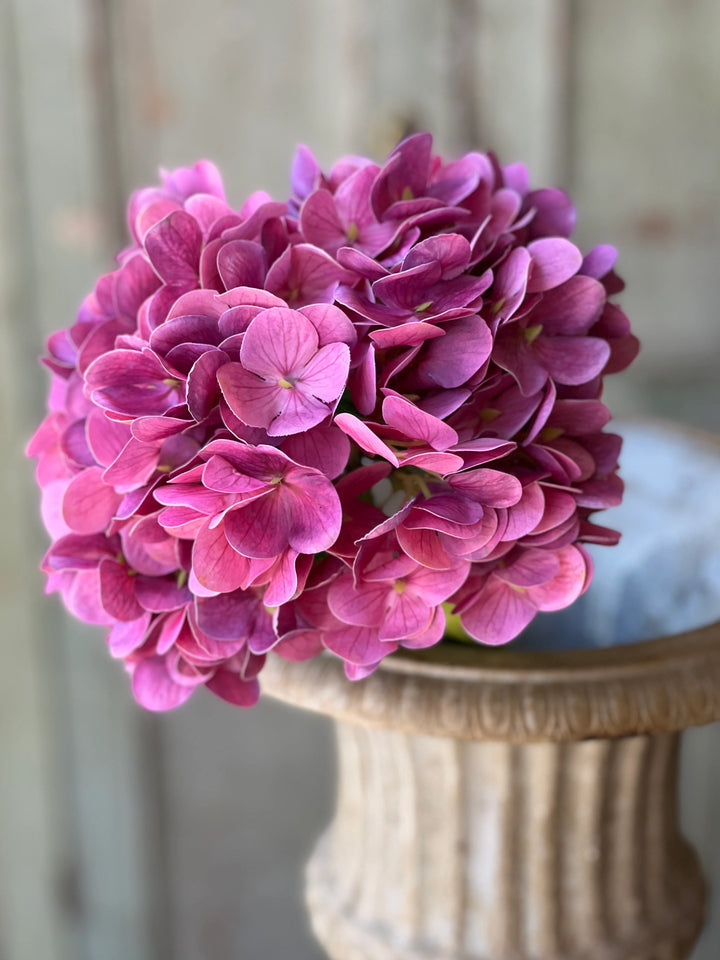 Real Touch Cameo Hydrangea Stem