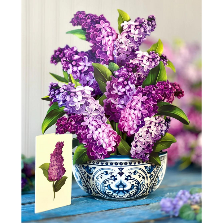 Garden Lilacs Pop-up Bouquet