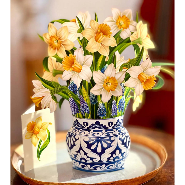 Daffodils Pop-up Bouquet