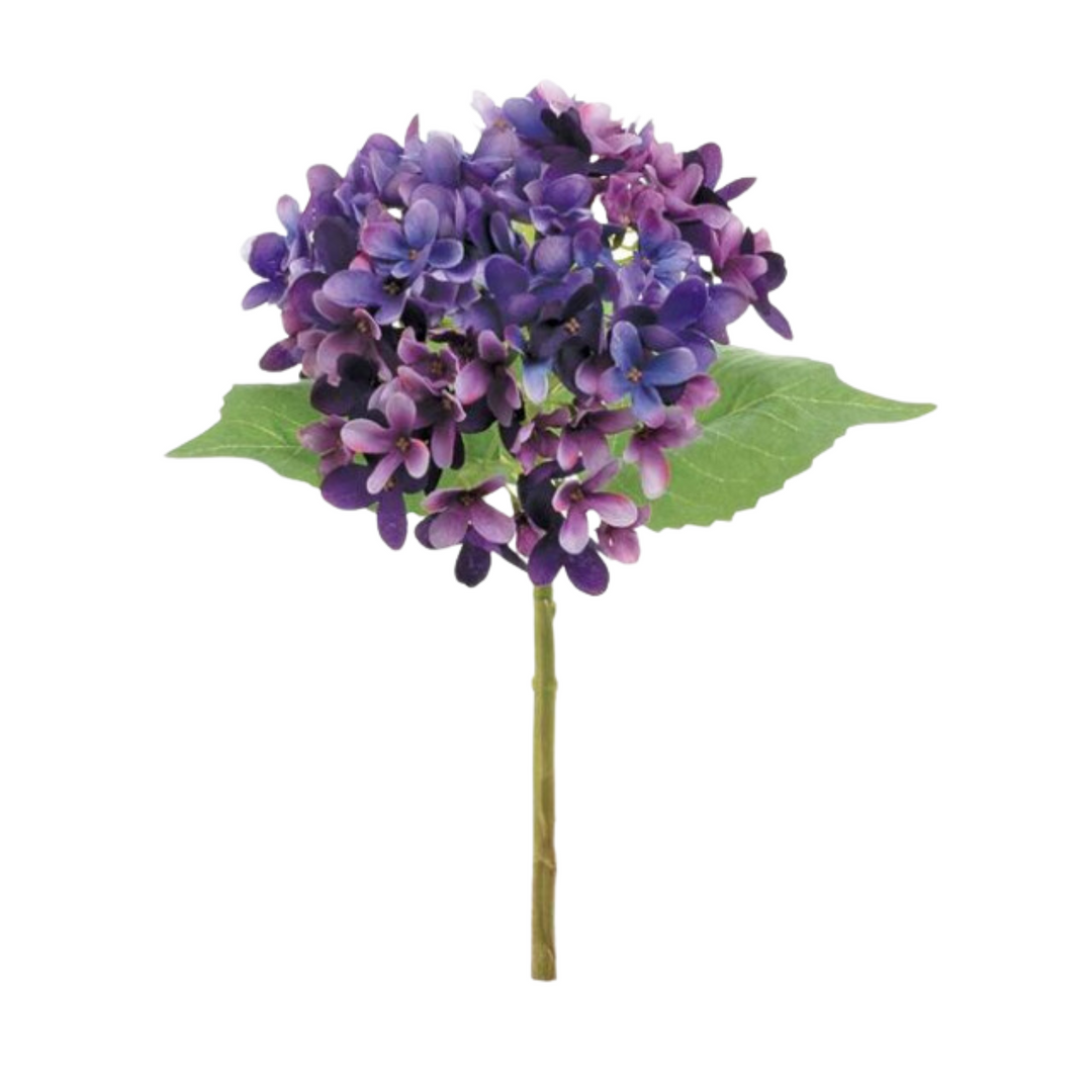 Fresh Cut Purple Hydrangea Stem