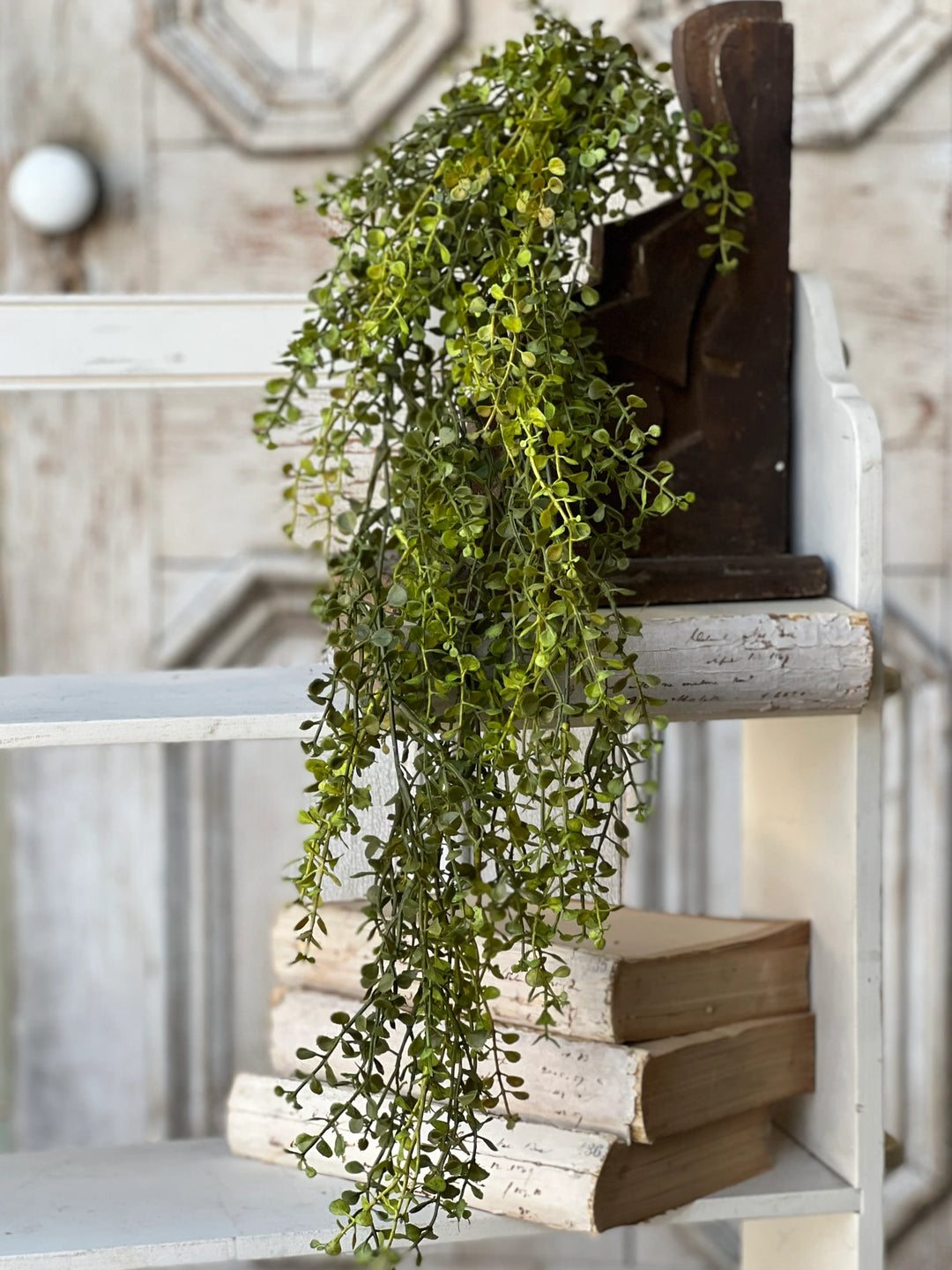 Baby's Grass Hanging Foliage