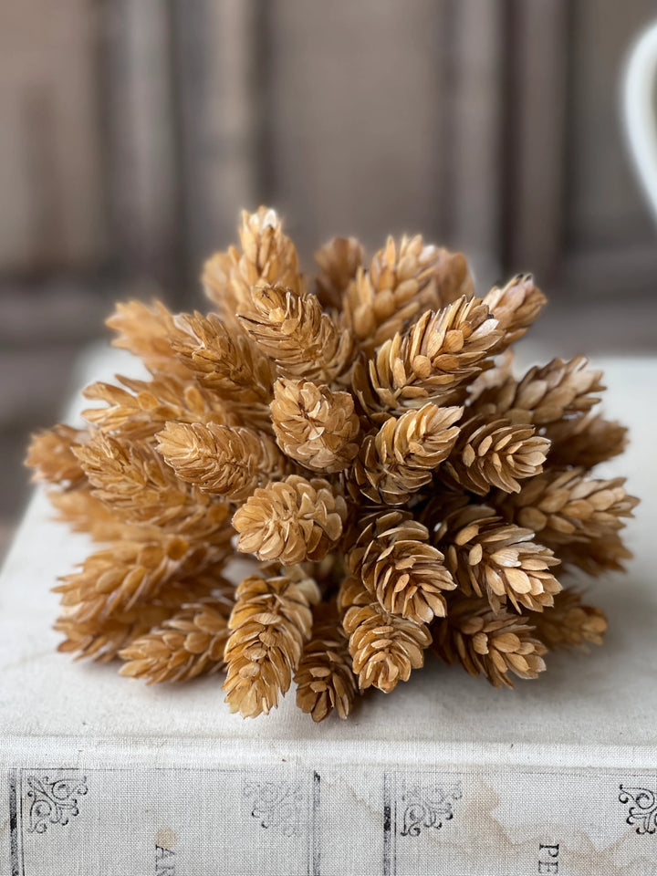 Golden Hops Half Sphere