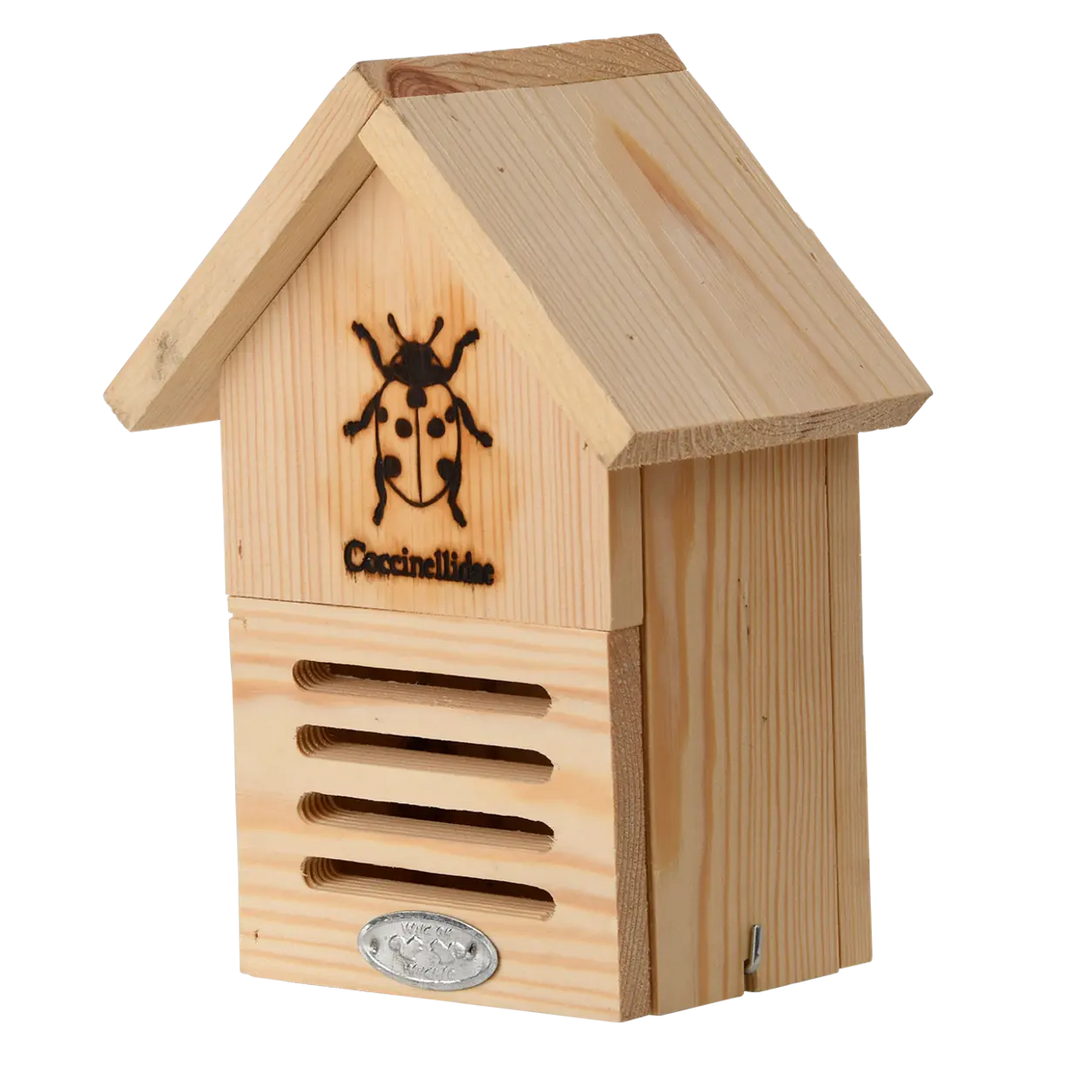 Ladybug House