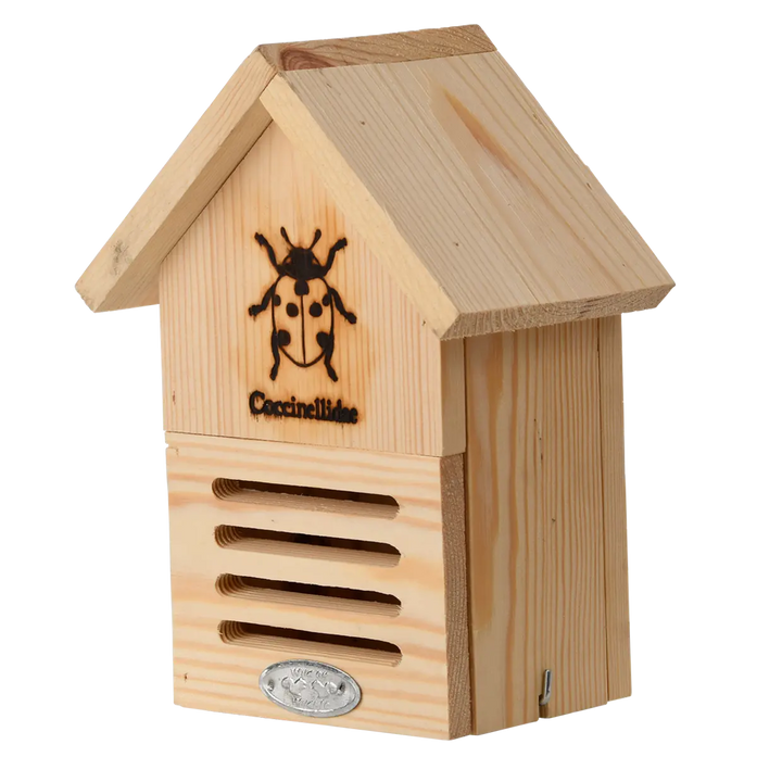 Ladybug House