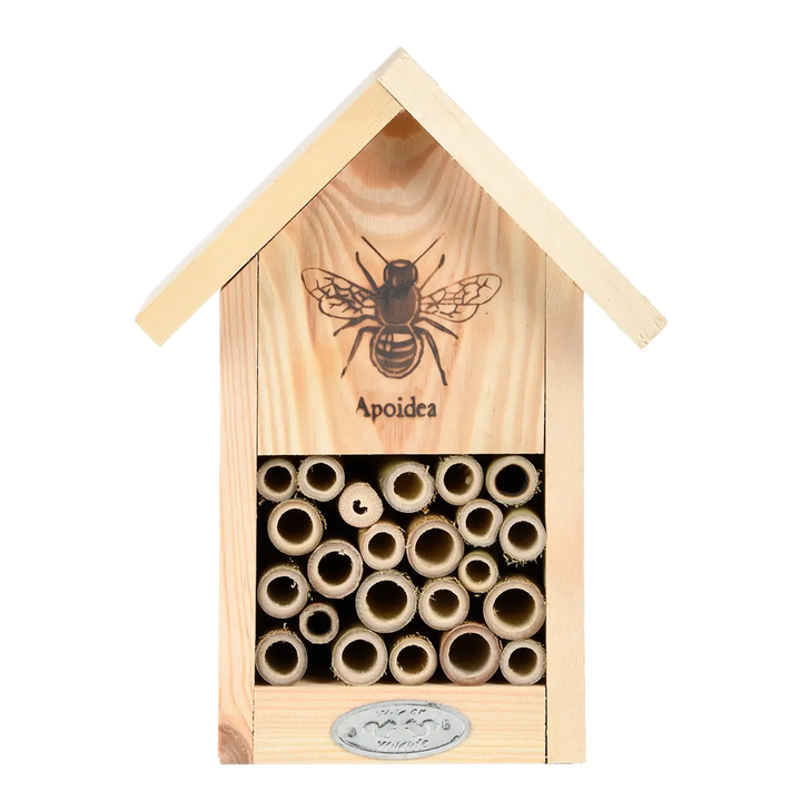 Wild Bee House