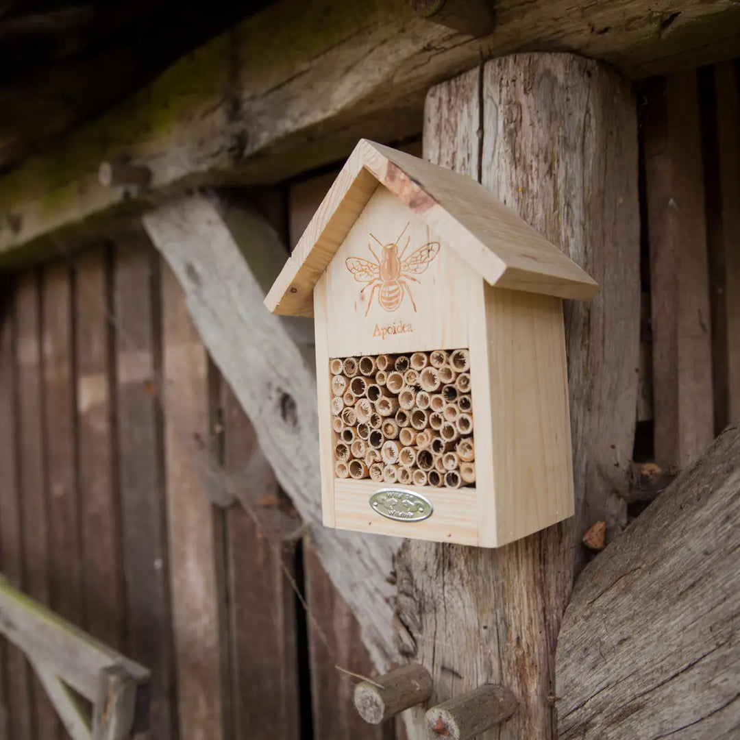 Wild Bee House