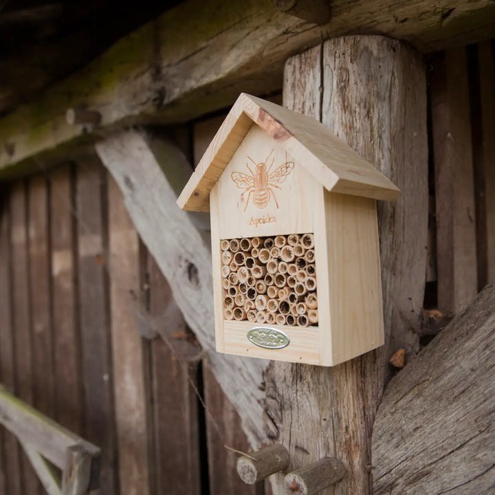 Wild Bee House