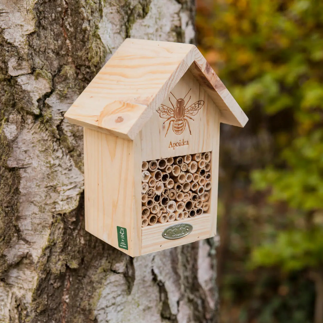 Wild Bee House