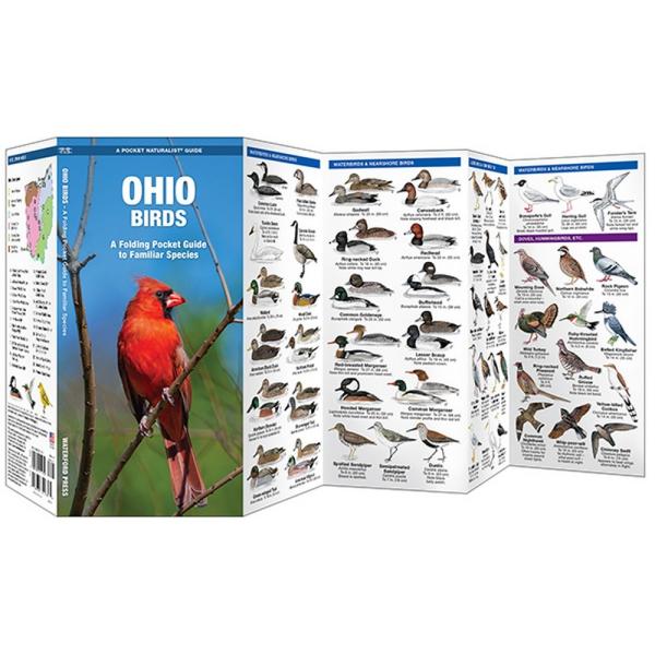 Ohio Birds Pocket Guide