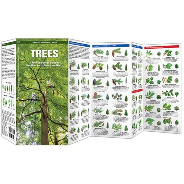 North American Trees Pocket Guide