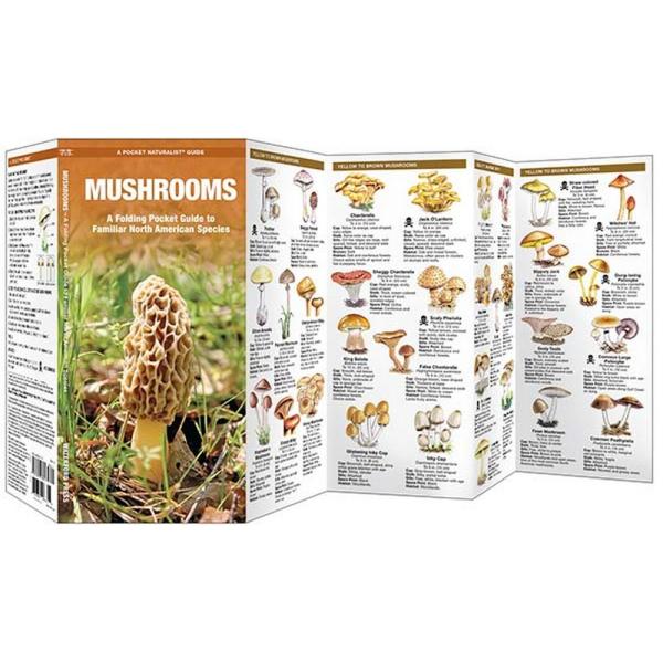 North American Mushrooms Pocket Guide