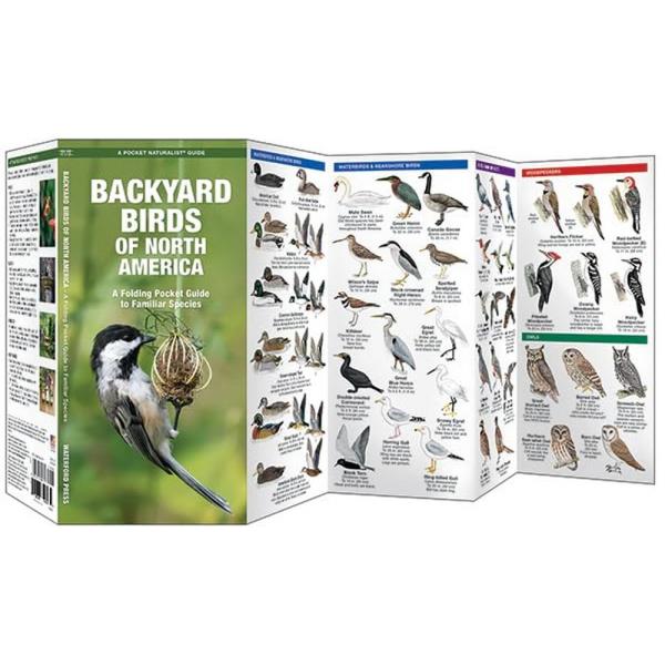Backyard Birds of North America Pocket Guide