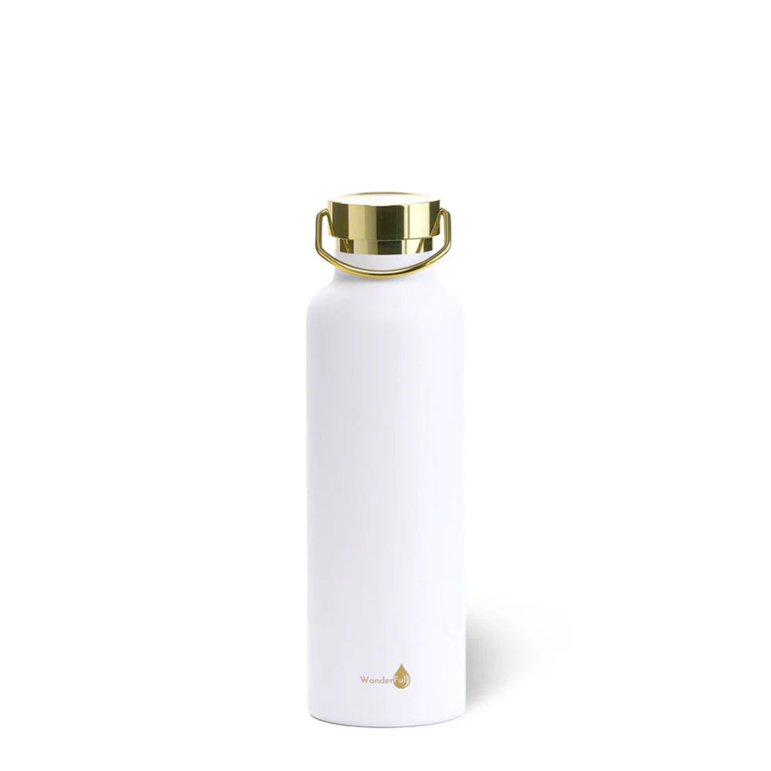 Wanderfull Stainless Steal Insulated Water Bottle