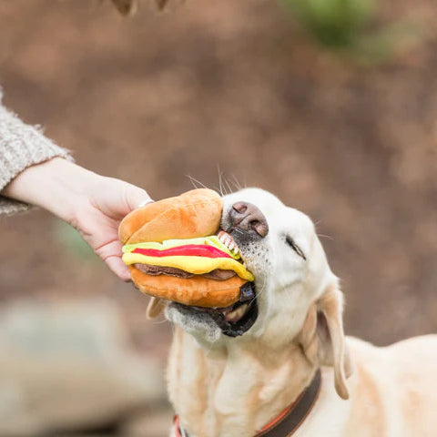 American Classic Barky Burger