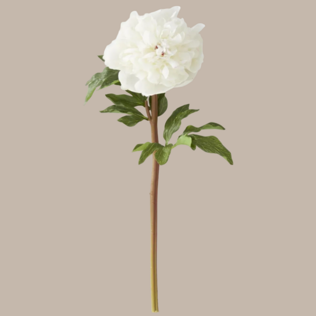 White artificial flower with green leaves on a white background
