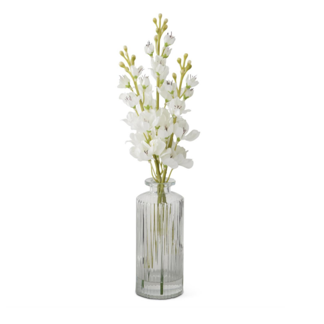 Clear glass vase with white flowers on a white background