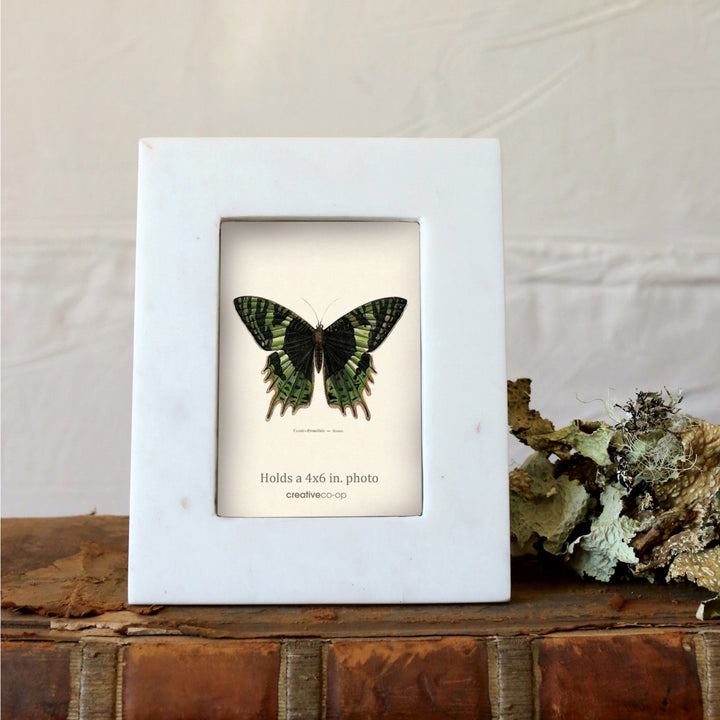 Framed butterfly specimen on an old book with a white background
