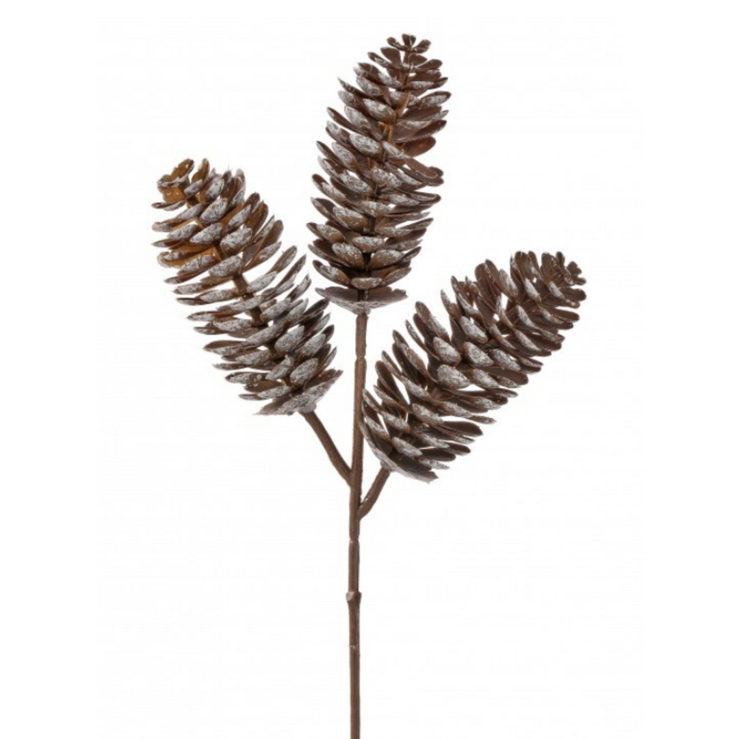 White Tipped Triple Pinecone Pick