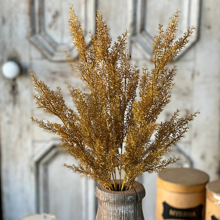 Wickham Wheat Bush 