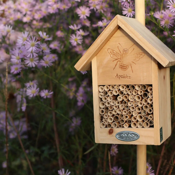 Wooden bee hotel with 'Apoidea' branding against a background of purple flowers
